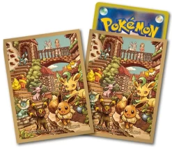 Sword & Shield Eevee Heroes Eevee's Set Box Japanese NEW Sealed -Trading Card Store 2021 05 24152908