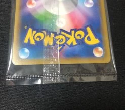 Pikachu Cramorant Japan Post Promo 2card Unopen -Trading Card Store 2021 08 27225700